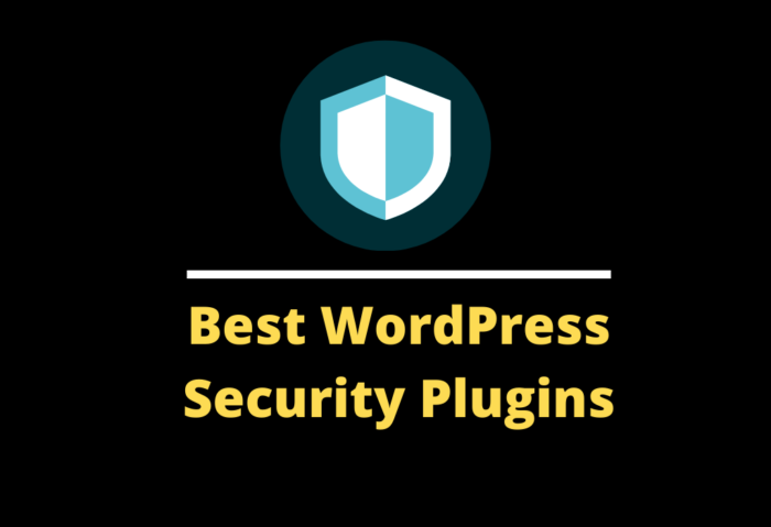 Best WordPress Security Plugins